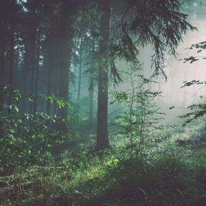 日本护士free另类内射
